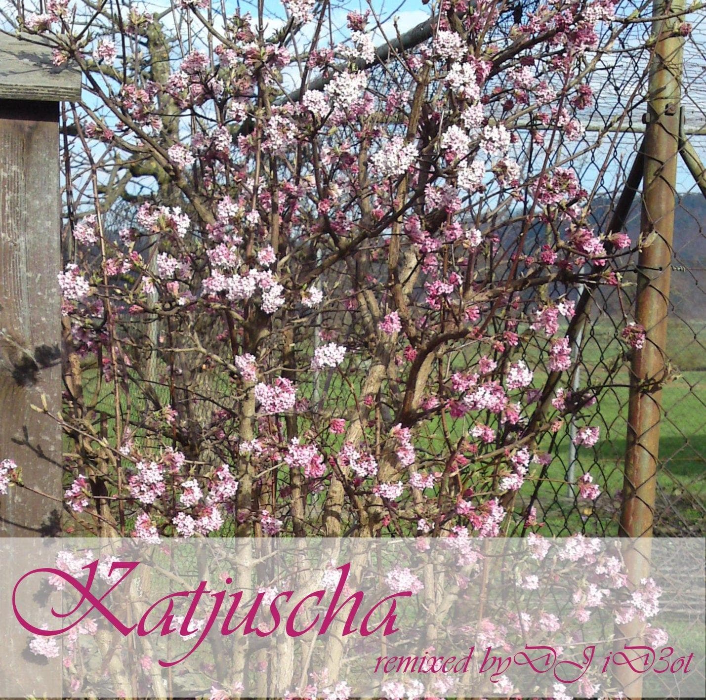 Katjuscha